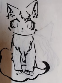 是小白呀
