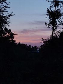 没有你们的未来