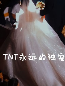 TNT，系统要我成为独宠