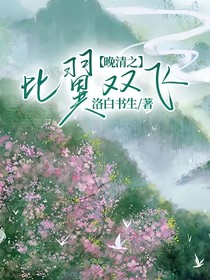 晚清之比翼双飞
