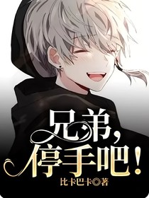兄弟，停手吧！