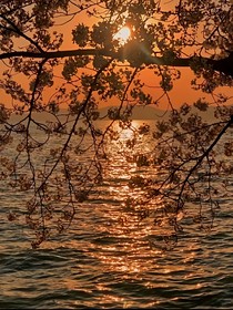 夕阳下的恋人