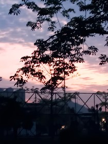 放下（古言）