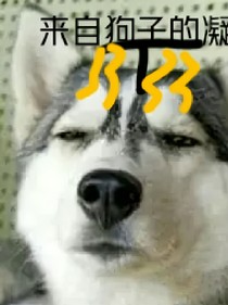 祈愿人