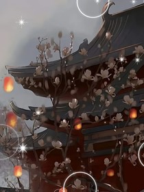 月之风华