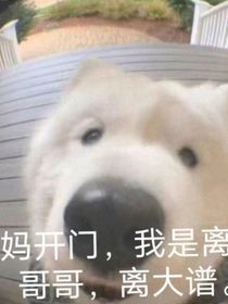這不是小說！?。∵@不是小說?。?！這是我為了轉(zhuǎn)移表情包的！