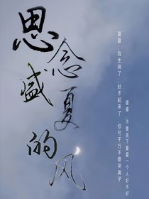 思念盛夏的风
