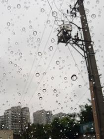 虐合集