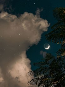 閑暇隨筆