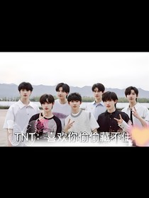 TNT：恋综偷偷喜欢你藏不住