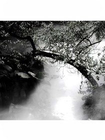 予玫瑰訴浪漫
