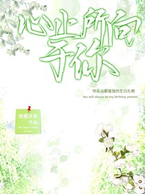 心止所向于你