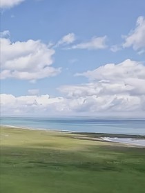 万物有灵，与所见不同-d882