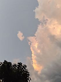 接下來(lái)的時(shí)間我陪你