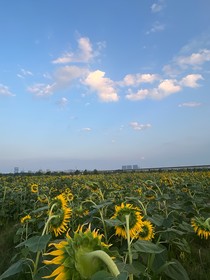 璀璨星河你是人间烟火