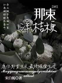 TNT：那束洋桔梗