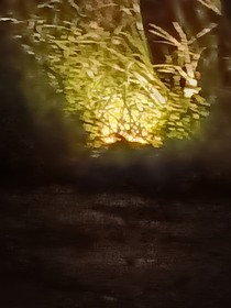 易安，時代