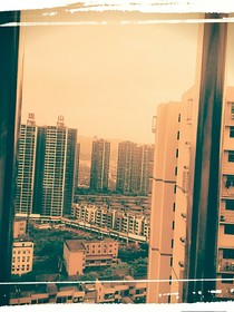 兔手可得