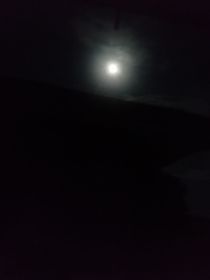 親愛的大明星，你好
