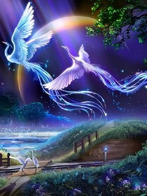奇妙大陆