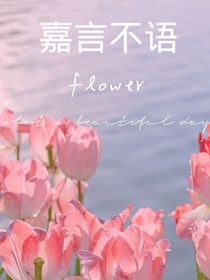 嘉言不語
