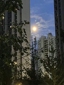 夏梦狂恋曲