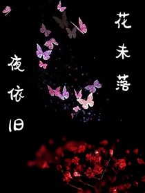 花未落，夜依旧