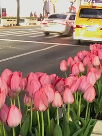 我和愛(ài)豆之間的距離