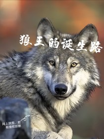 狼王的诞生路