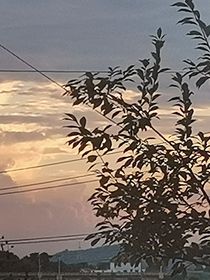 我把自己磕沒(méi)了
