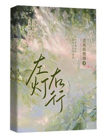 左燈右行a