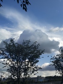 你是我的最后一根稻草
