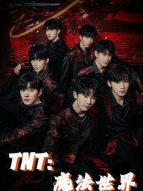 TNT：魔法世界……