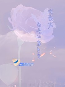 浅藏在南境的暮色里