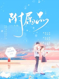 附属品