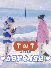 TNT：白日梦攻略日记