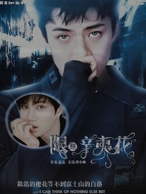吴世勋：限定辛夷花