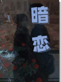 暗恋之桑遇淮