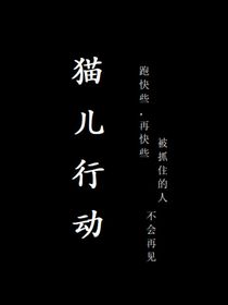 猫儿行动