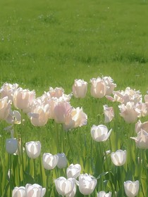 詩(shī)和遠(yuǎn)方……