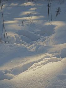 等第一场雪