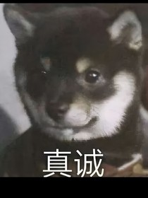 装的很像