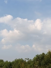 穿越后成為修仙界團(tuán)寵