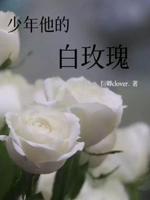 少年他的白玫瑰