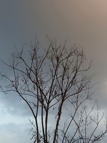 逃不掉的姐姐