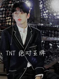 TNT绝对王牌-d829