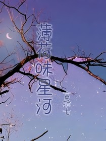 薄荷味星河