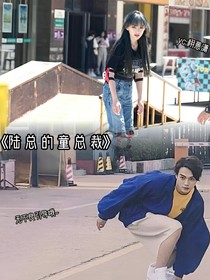 陸總的童總裁
