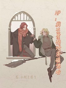 HP：我在霍格沃茨磕德哈