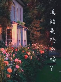 真的是巧合吗？